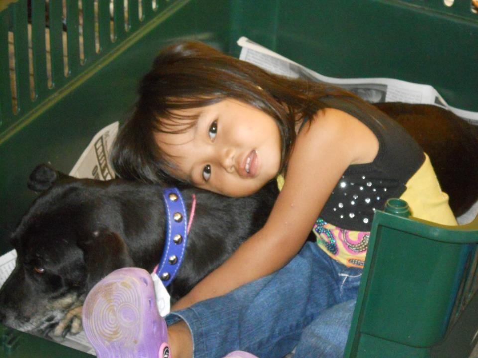 Photo 3 from ROMANIA ANIMAL RESCUE INC DBA ANIMAL SPAY NEUTER INTL